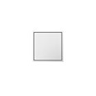 Legrand Adorne ARPTR151GW2 White 15A One-Gang Pop-Out Outlet