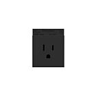 Legrand ARTR151G10 15A 125V Graphite Single Tamper-Resistant Outlet Receptacle