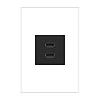 Legrand ARUSB2AA6G4 Graphite Usb Outlet Receptacle