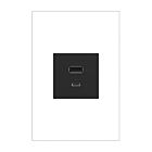 Legrand ARUSB2AC6G4 125V Graphite Usb Outlet Receptacle