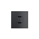 Legrand ARUSB65PDG4 125V Graphite Receptacle