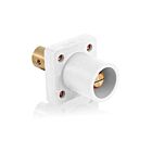 Leviton 16R19-UW Pb White Male Panel Receptacle 1/2 Tapped Terminal