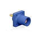 Leviton 16R23-1UB 16 Series Male Blue Receptacle