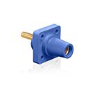 Leviton 16R24-4UB 16 Series Female Blue Receptacle