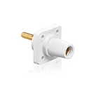 Leviton 16R24-4UW Female Receptacle