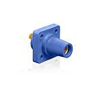 Leviton 16R24-UB Pb Blue Female Panel Receptacle W/Stud .75" Taper Nose