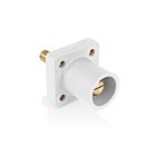 Leviton 16R25-1UW Pb White Male Panel Receptacle W/Stud 1.125" Taper Nose