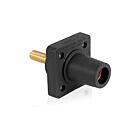 Leviton 16R26-1UE 16 Series Female Black Receptacle