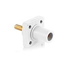 Leviton 16R26-1UW 16 Series Female White Receptacle