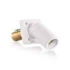 Leviton 16R27-UW 400A 600V White Receptacle