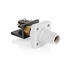 Leviton 16RSW-UW White Female Panel Connector Taper Nose Thread Stud W/Micro Switch