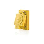 Leviton 60W48 Cr Wdl 20A 250V 1G Receptacle