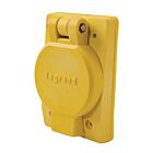 Leviton 69W08 30A 125-250V Receptacle