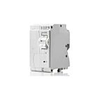 Leviton LB250-EP Branch Breaker V1.0 Gfpe 2Sp 50A