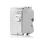 Leviton LB260-T 60A 2-Pole Standard Thermal Magnetic Branch Circuit Breaker