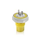 Leviton LNR80-1Y 15A 125V Plug