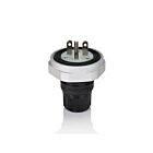 Leviton LNR80-2E 15A 250V Plug
