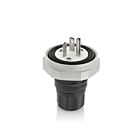 Leviton LNR80-4E 20A 250V Plug