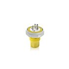 Leviton LNR80-4Y 20A 250V Plug