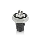 Leviton LNR80-5E 15A 125V Plug