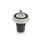 Leviton LNR80-6E 15A 250V Plug