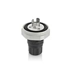Leviton LNR80-7E 15A 277V Plug