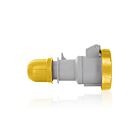 Leviton W216-C4 International 16A Pin & Sleeve Connector