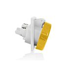Leviton W216-R4 International 16A Pin & Sleeve Receptacle