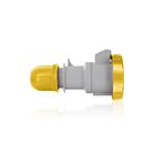 Leviton W232-C4 International Configuration Panel Mounting Inlet