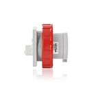 Leviton W432-B11 International Rated 32A Pin & Sleeve Inlet