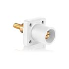 Leviton 16R31-MXW White 16 Series Male Receptacle