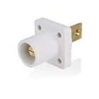 Leviton 16R33-BW White 16 Series Male Receptacle