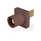 Leviton 16R33-H Brown 16 Series Male Receptacle