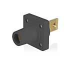 Leviton 16R34-BE Black 16 Series Female Receptacle
