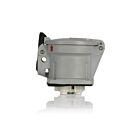 Leviton ARC30R163 Gray Pin and Sleeve Receptacle