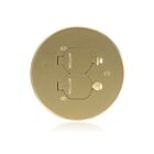 Leviton FBCCF-B Brass Concrete Floor Box Cover Plate