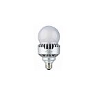 Light Efficient Design LED-8015E30-G2 14W LED High Output Retrofit A21 Lamp