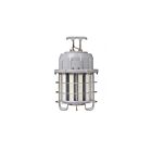 Light Efficient Design LED-9009-100-5C 100W LED Economy Work Light