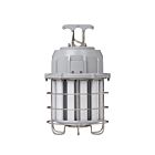 Light Efficient Design LED-9009-100-5F 100W LED Economy Work Light