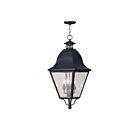 Livex Lighting 2547-04 Amwell 4-Lights 240W Black Outdoor Pendant Light