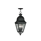 Livex Lighting 2557-04 Amwell 3-Lights 180W Black Outdoor Pendant Light
