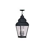 Livex Lighting 2610-04 Exeter 3-Lights 180W Black Outdoor Pendant Light