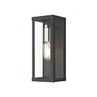 Livex Lighting 28032-04 1-Light 60W Black and Brushed Nickel Outdoor Wall Lantern