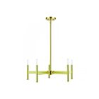 Livex Lighting 51175-12 5-Lights 300W Satin Brass Chandelier