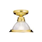 Livex Lighting Home Basics 6006-02 1-Light 100W Ceiling Mount