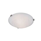 Livex Lighting Oasis 8012-91 3-Lights 120W Ceiling Mount