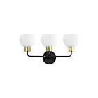 Maxim Lighting Coraline 11273SWBZSBR 3-Lights 60W Bronze/Satin Brass Vanity Light