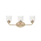 Maxim Lighting Acadia 12263CDHR 3-Lights 60W Heritage Vanity Light