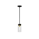 Maxim Lighting 12406CLBKSBR Pinn 1-Light 60W Black/Satin Brass Pendant