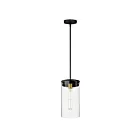 Maxim Lighting 12408CLBKSBR Pinn 1-Light 60W Black/Satin Brass Pendant